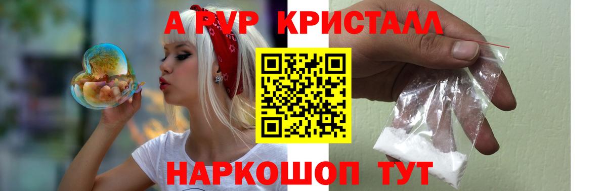 A PVP СК КРИС Луга