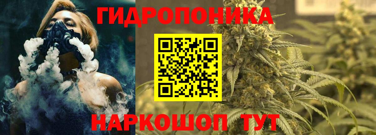 Луга  Бошки Шишки VHQ  Вход с VPN  Бошки Шишки Amnesia 